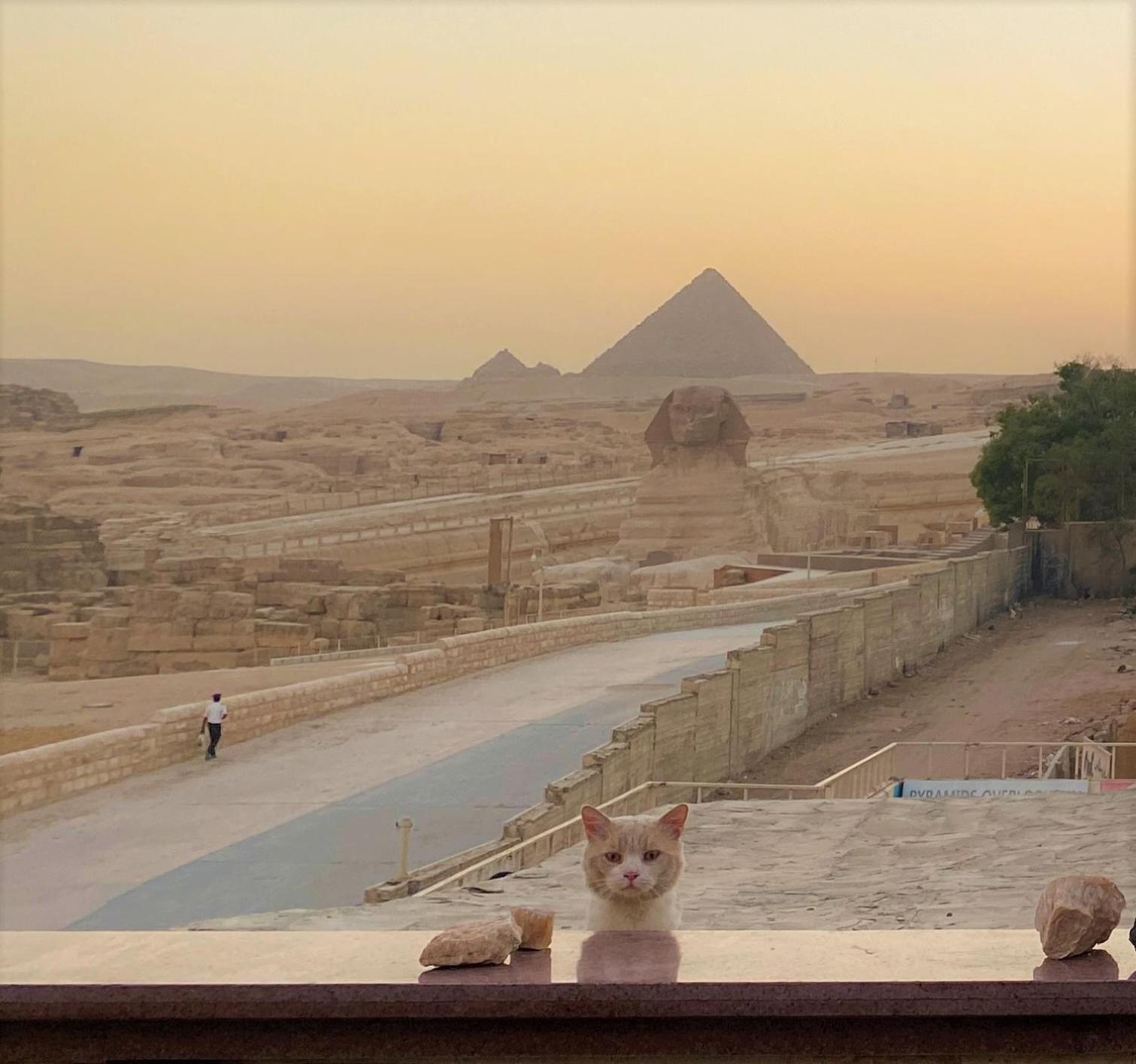 Seven Pyramids Panoramic View Frühstückspension *